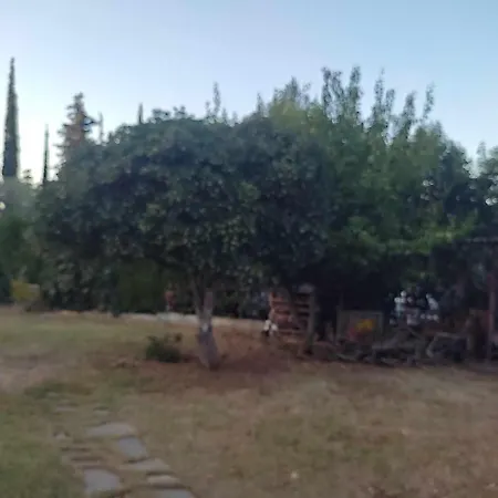 Elaiones House