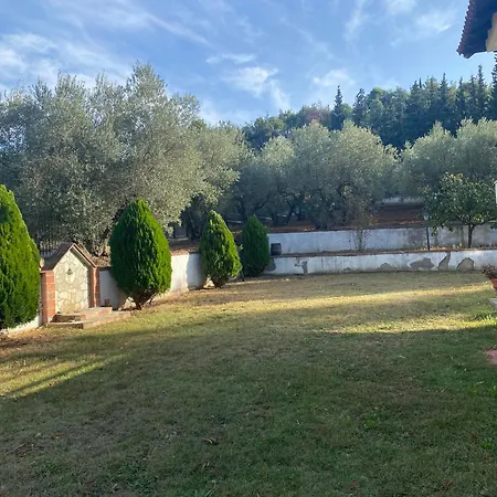 Apartmán Elaiones House Soluň