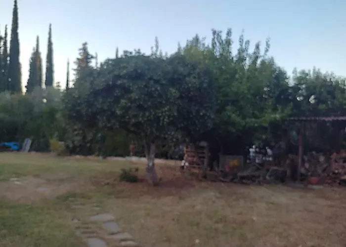 Elaiones House