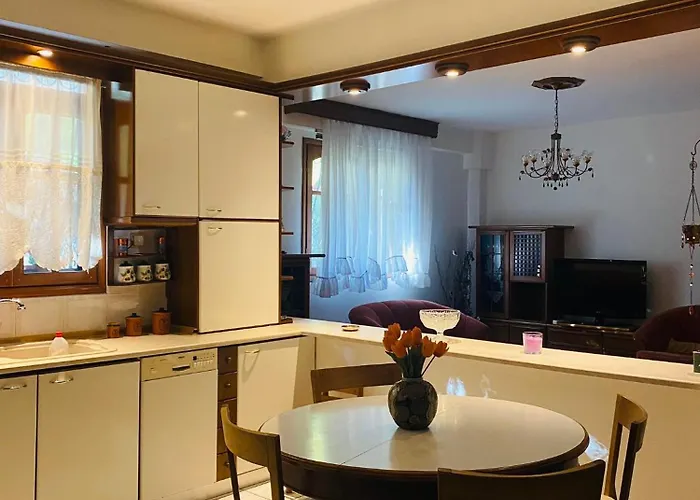 Apartament Elaiones House *